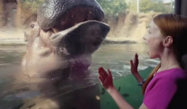 Visit SA Commercial_Sadie Saunders_full